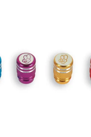 Super Prix Bouchons de valves Schrader V BIKE - aluminium violet