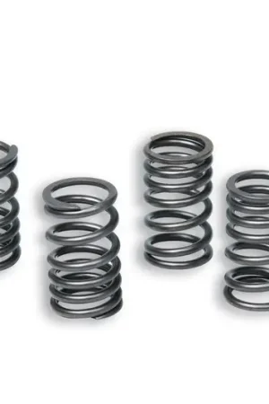 Achetez Aujourd’hui Jeu de ressorts d'embrayage renforcés MALOSSI Racing Ø15mm - 31,5mm